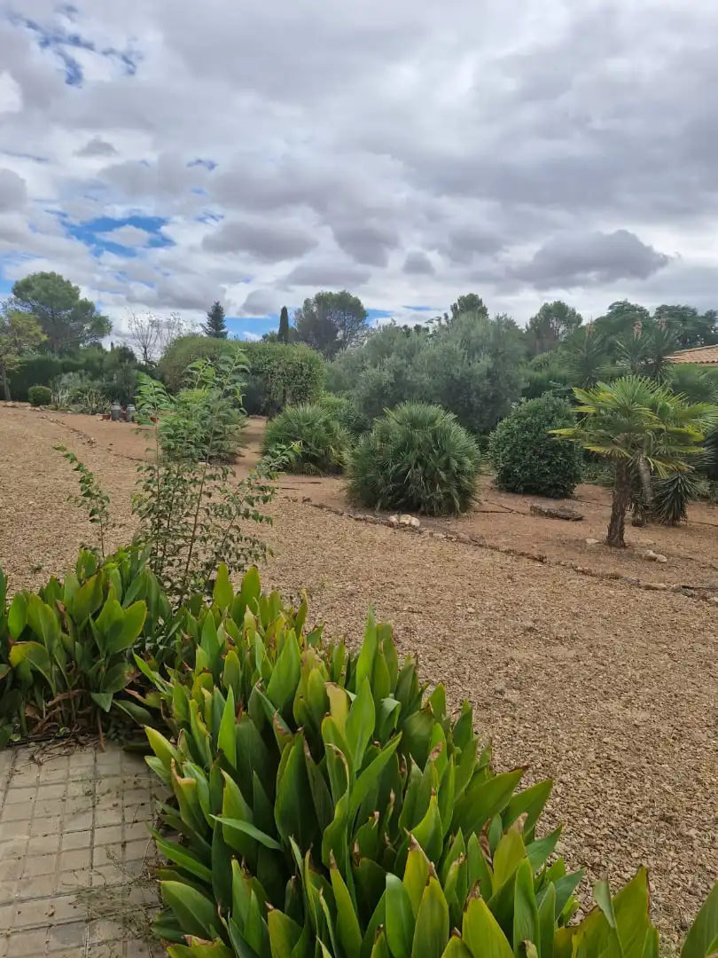 Jardín de Terreno en venta en Pozuelo de Calatrava