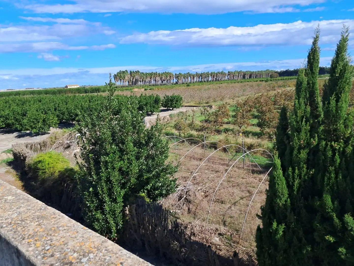 Finca rústica en venta en Sollana con Trastero y Piscina