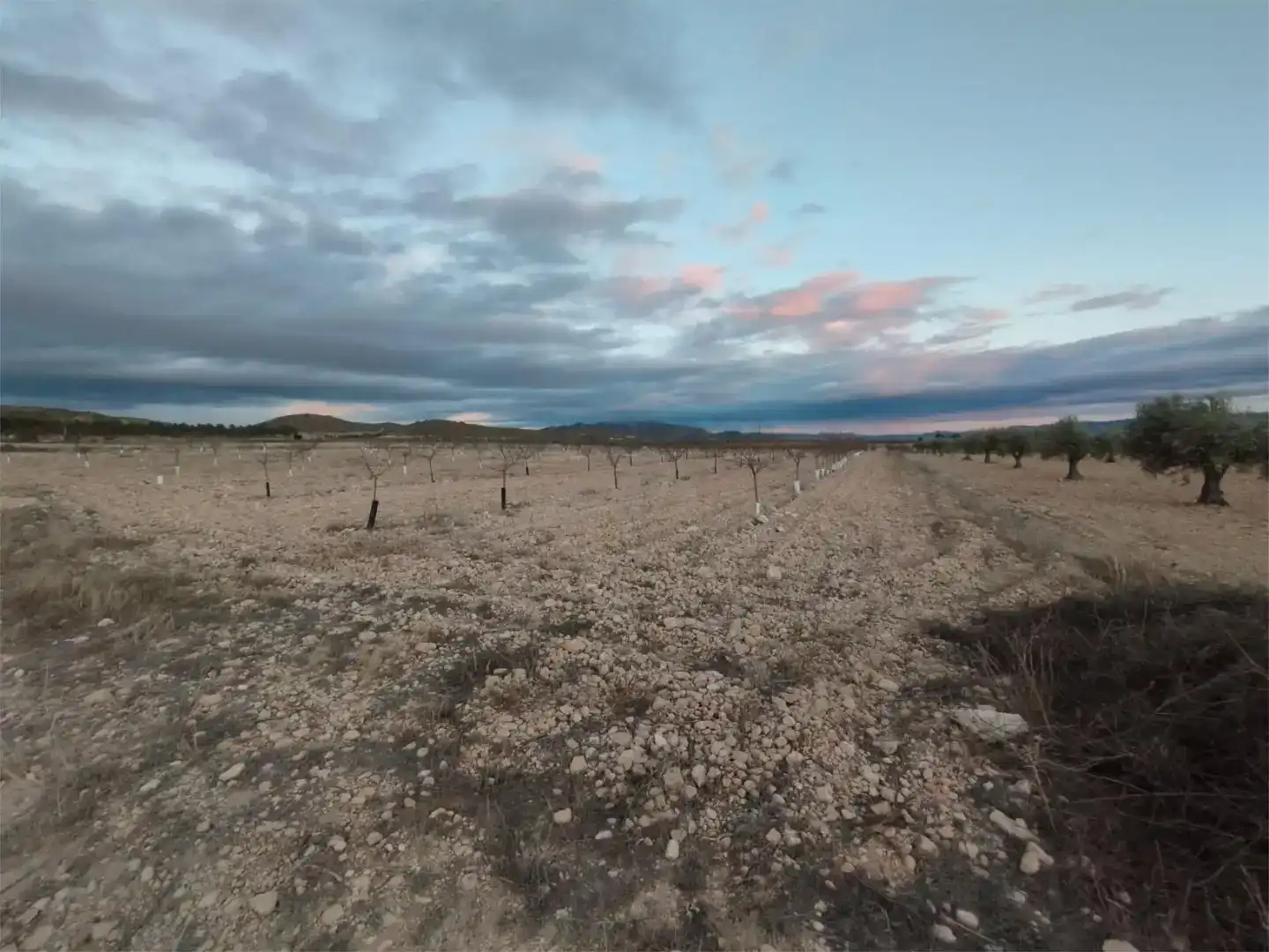 Terreno en venta en Montealegre del Castillo, Albacete