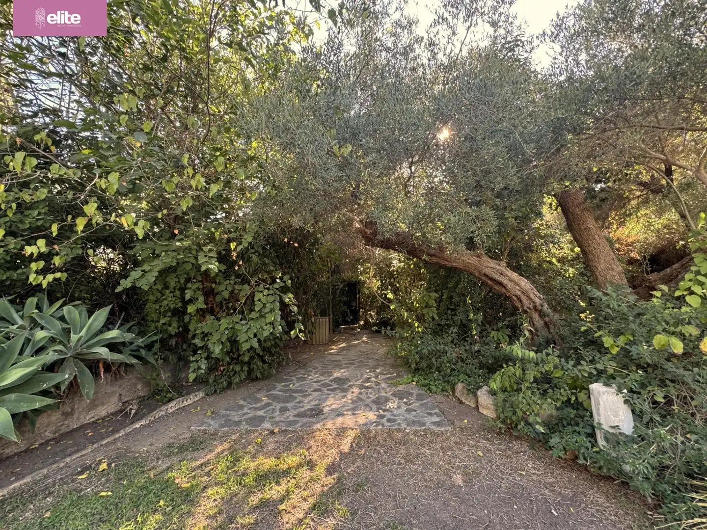 Detached house for sale in Avenida - Divina Pastora - Plaza de Toros, imagen 10