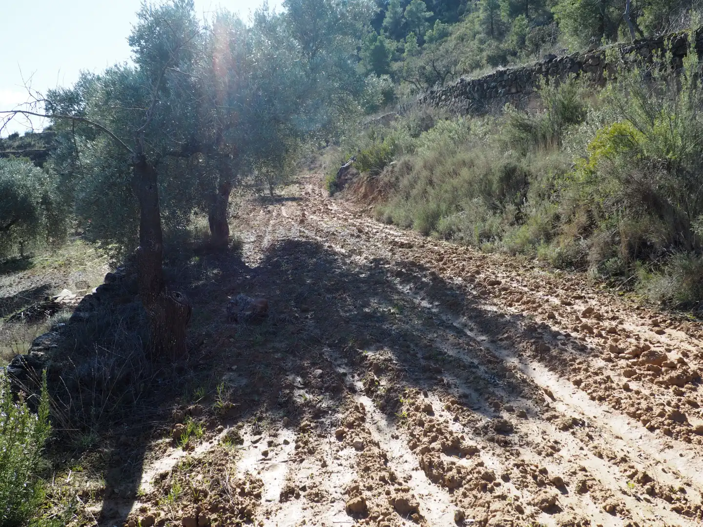 Rustikales Grundstück zum Verkauf in Carretera de Riba-roja, imagen 11
