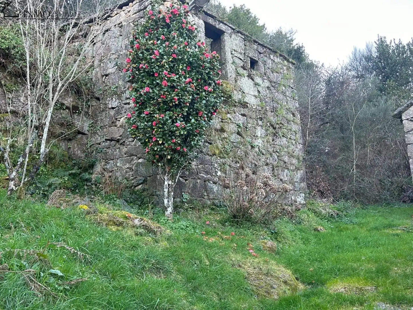 Vista exterior de Casa o xalet en venda en Cerdedo amb Jardí privat i Traster