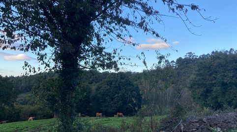 FINCA CERRADA, imatge 4