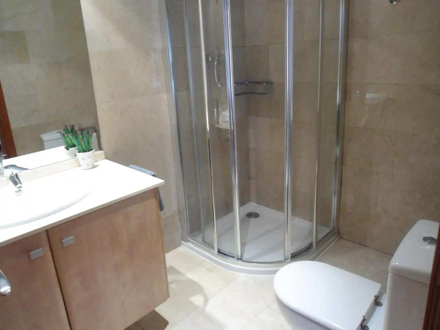 Apartamento de alquiler en Avinguda de Catalunya, Instituts - Universitat