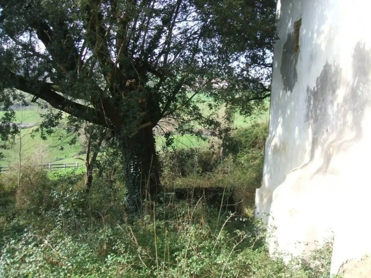 Maison rustique à vendre à Karrantza Harana/Valle de Carranza, imagen 5