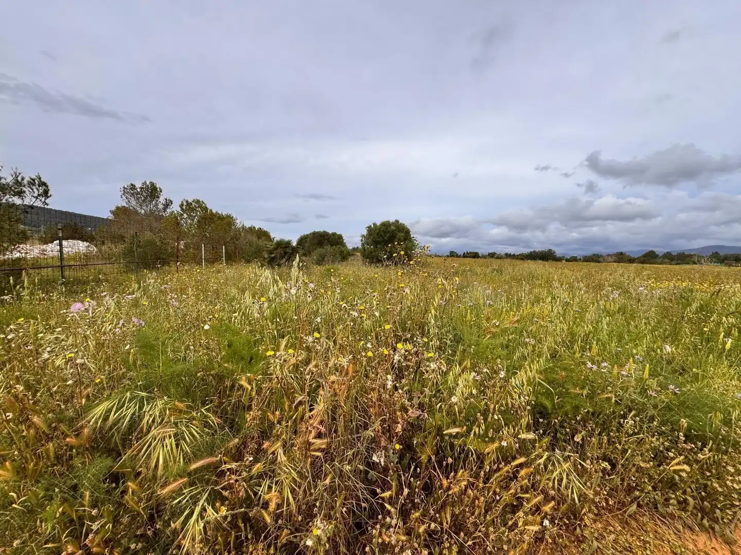 Terreny industrial en venda en Santa Eugènia