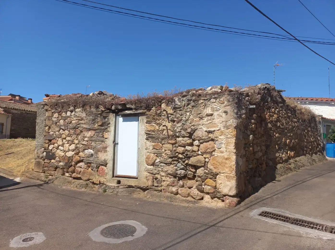Terreny rústic en venda a C/ Lirios, imagen 8