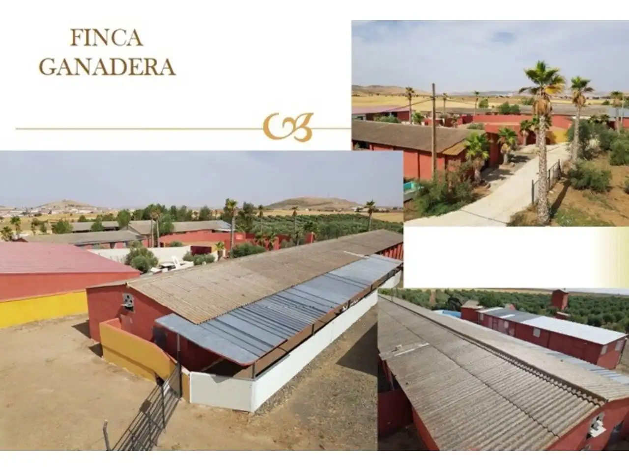 Vista exterior de Terreno en venta en Santa Cruz de Mudela