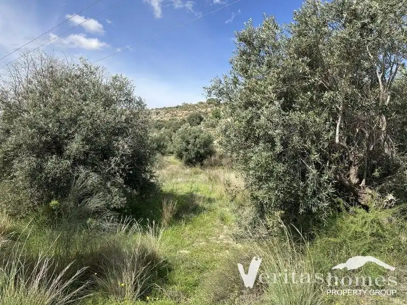 Finca rústica en venta en Los Gallardos
