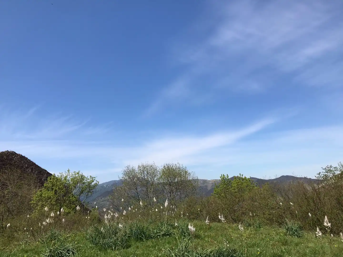 Terreno rustico in vendita a Cangas de Onís, imagen 14