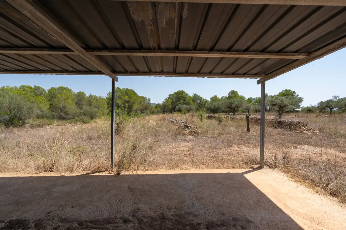 Rural land for sale in C-12 77, imagen 9