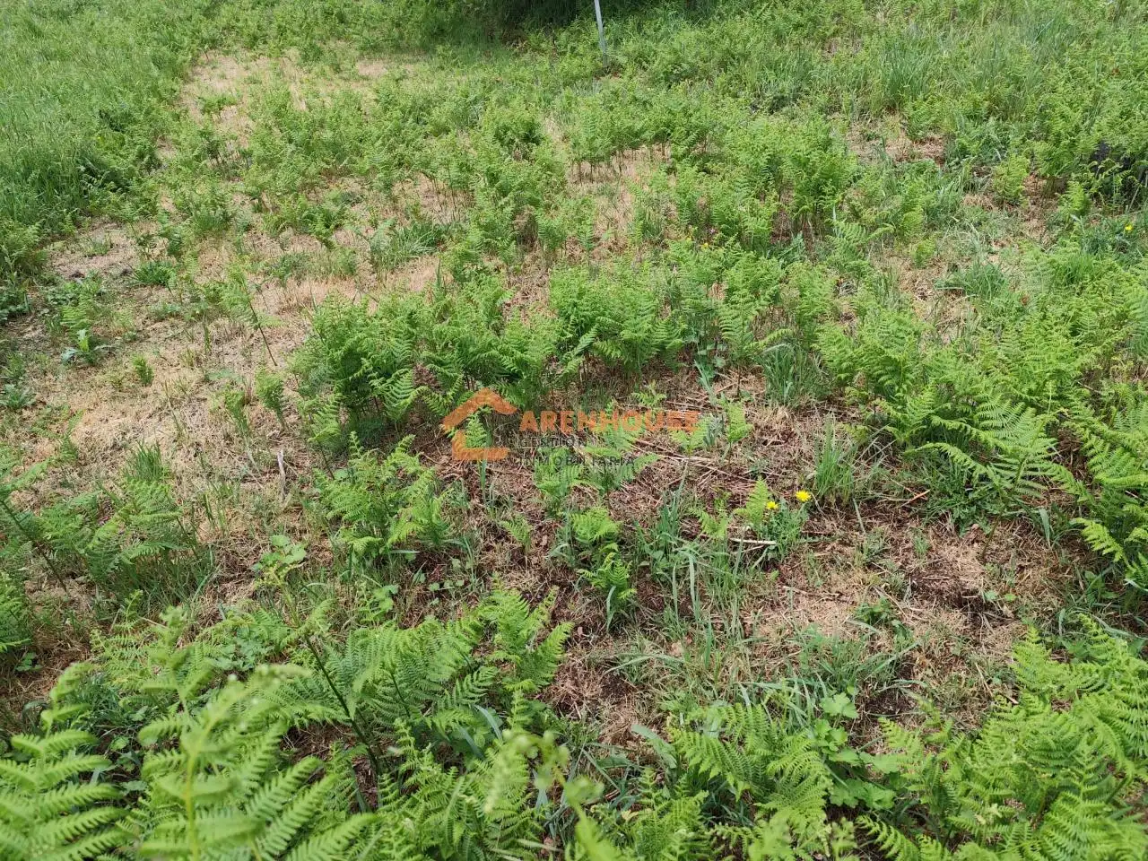 Casa o xalet en venda en Baños de Molgas amb Calefacció, Jardí privat i Balcó