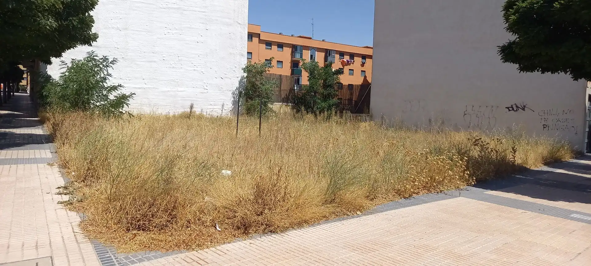 Lands and plots for sale in Rollo - Puente Ladrillo, imagen 4