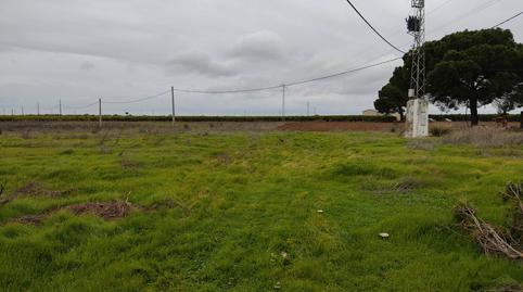 Photo 4 of Industrial buildings for sale in Pedanías Norte, Utrera