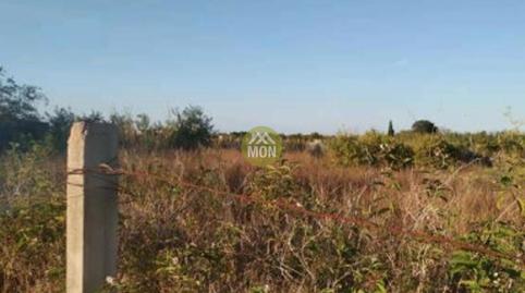 Photo 3 of Land for sale in Playa de Gandia, Valencia