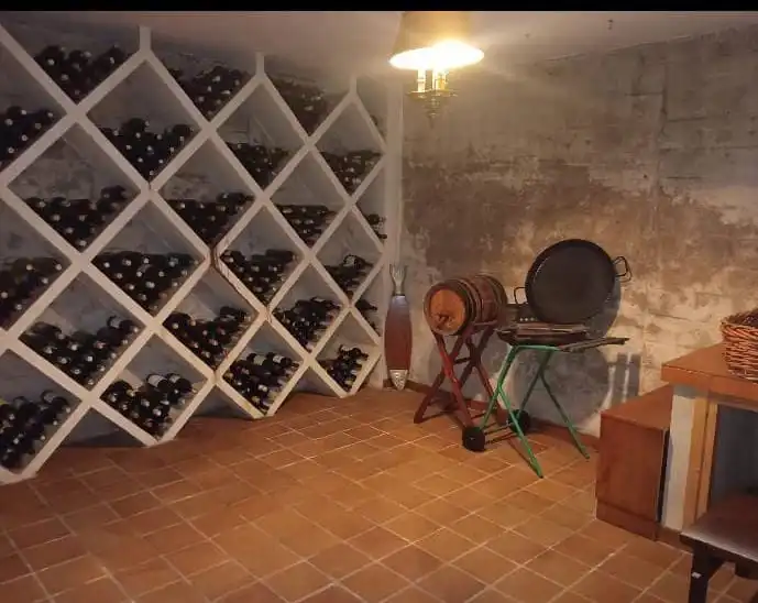 Casa con jardín en venta en Cerezo - Aspla - Torres, imagen 42