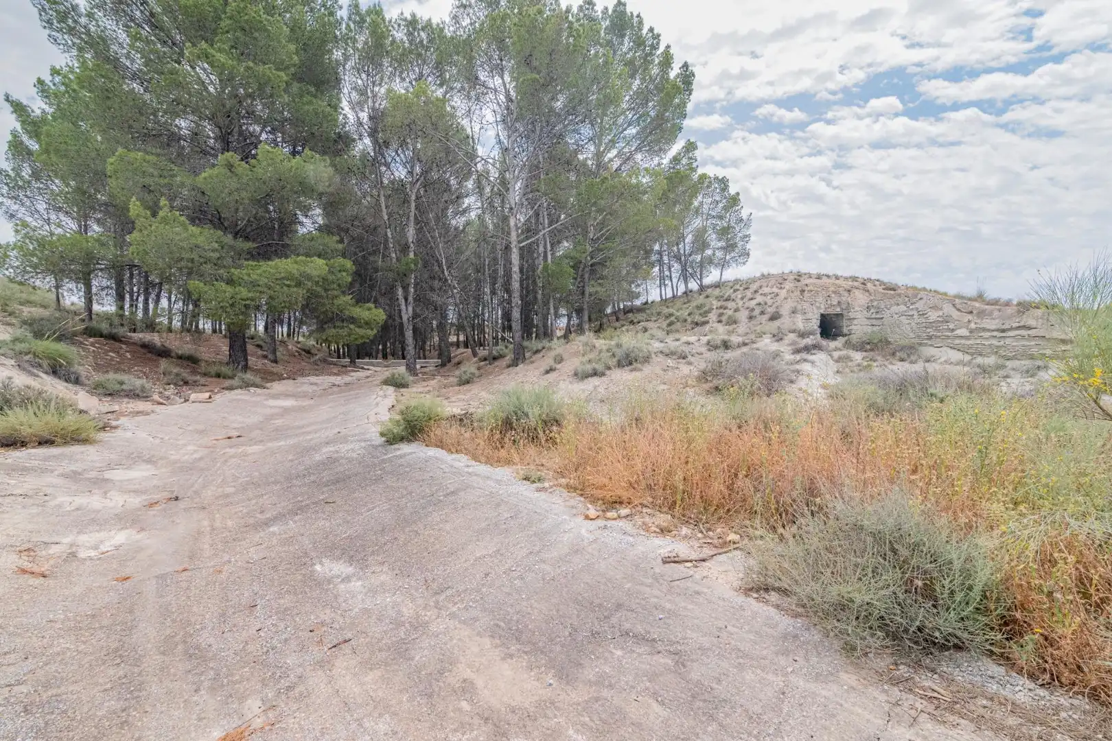 Apartamento en venta en Baza, imagen 23