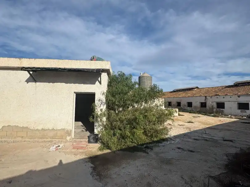 Industriegebäude zum Verkauf in Partida Torregroses Polig C 47, imagen 9
