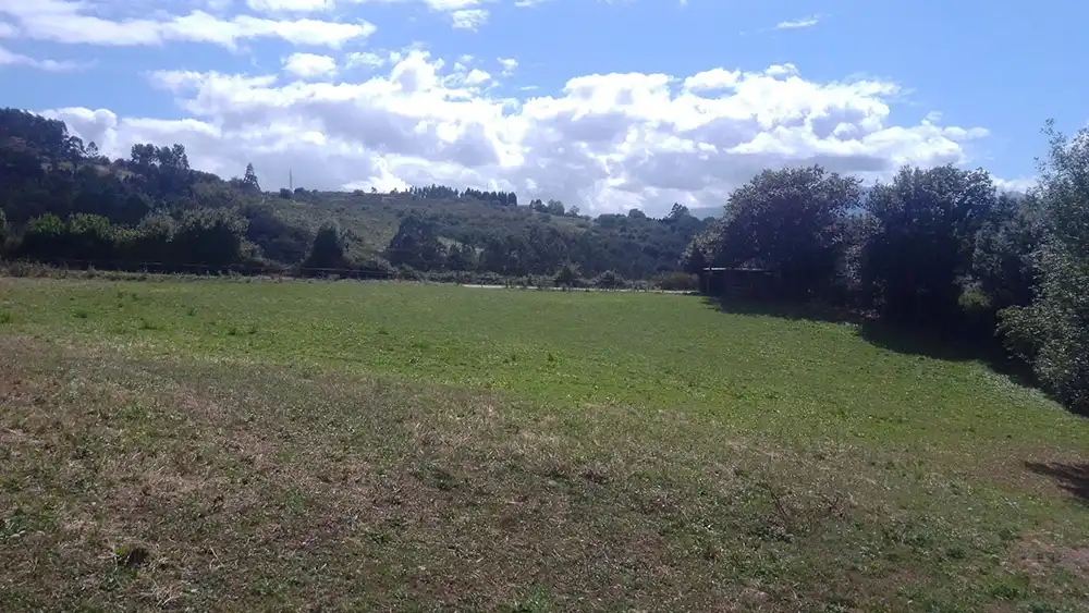 Terrenys i solars en venda a Escamplero, Polígono 41. Parcela 320 1, imagen 10