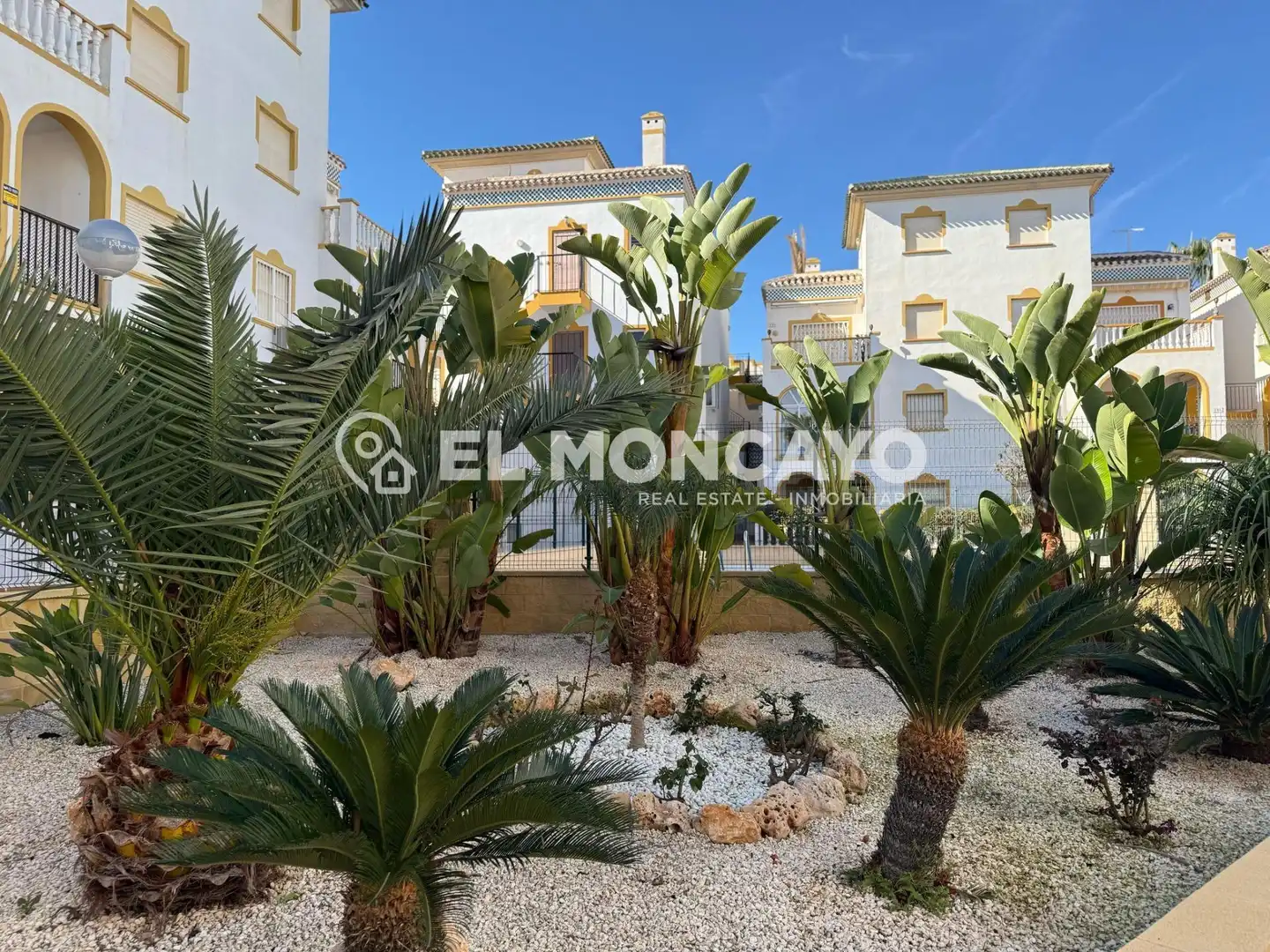 Vista exterior de Casa o chalet en venta en Torrevieja con Jardín privado, Terraza y Trastero
