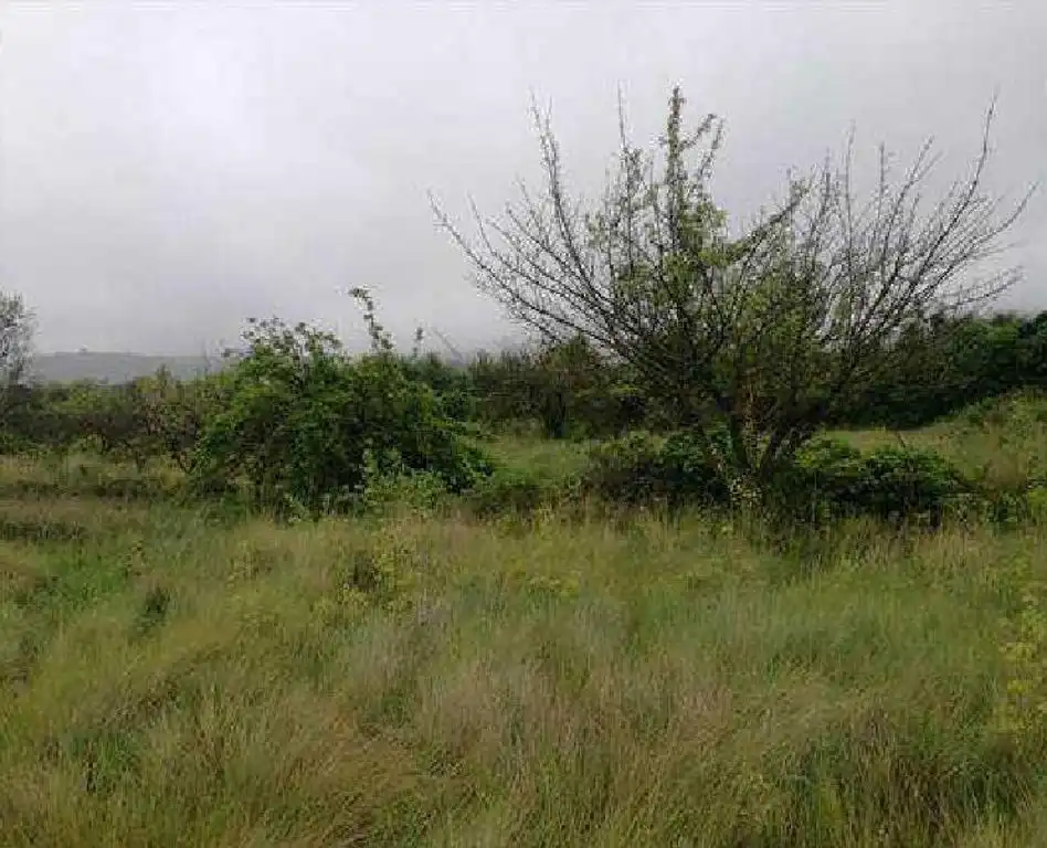 Terreny rústic en venda a Albocàsser, imagen 2