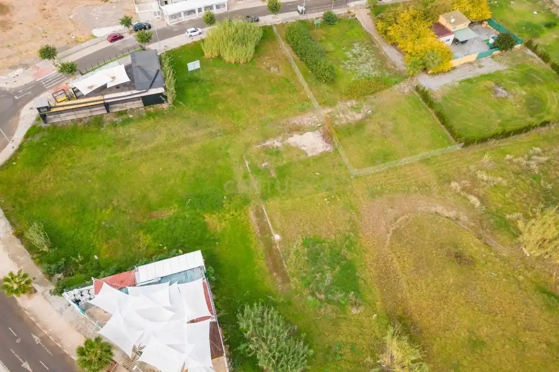 Land for sale in Almenara