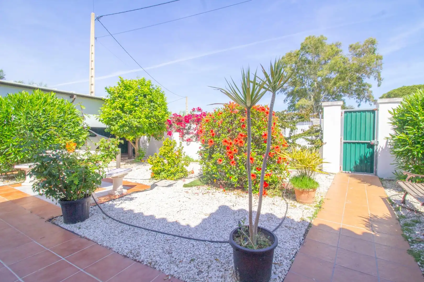 Garden of Houses for sale in Chiclana de la Frontera