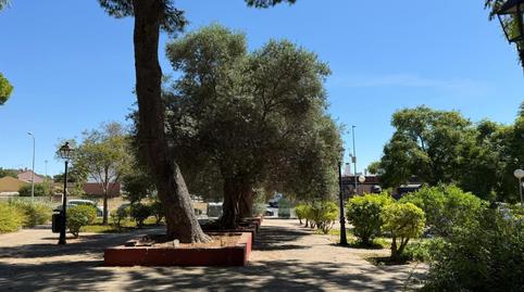 Foto 5 de Edifici en venda a Crevillet, Cádiz