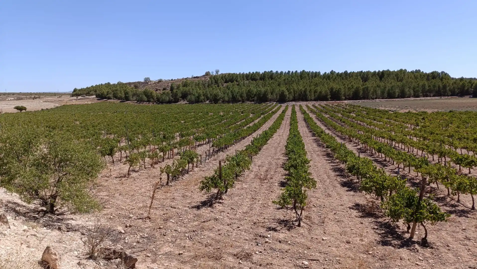 Terreno rustico in vendita a Valdeganga, imagen 30