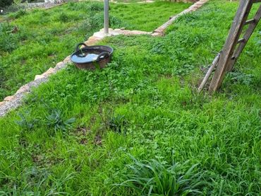 Terreno residenziale in vendita a Vallirana