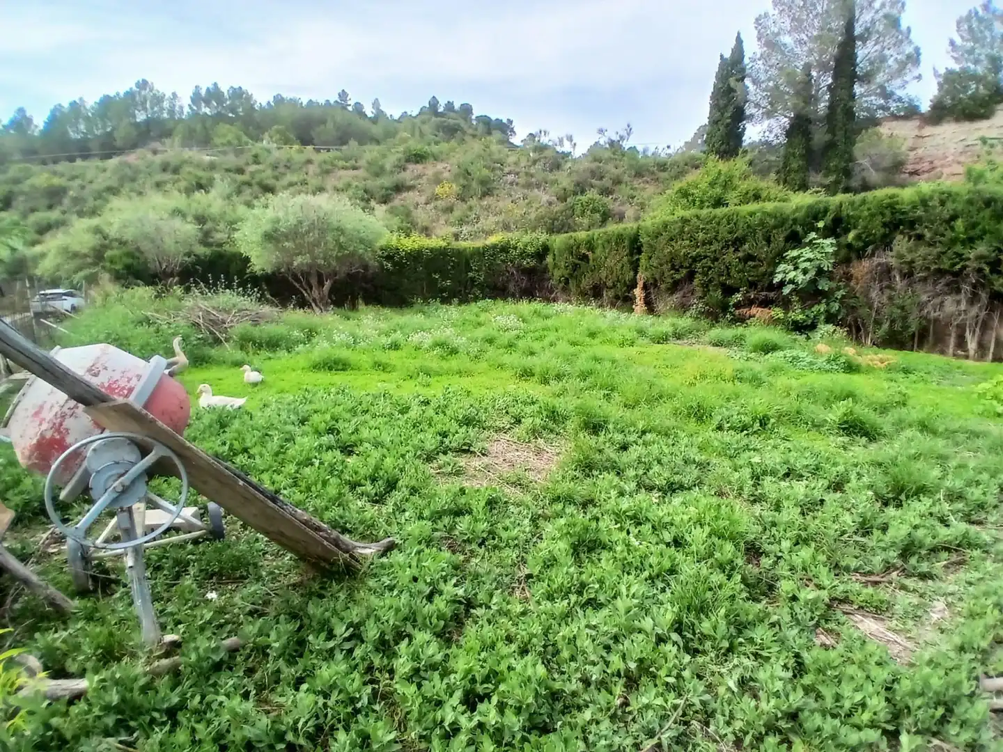 Terrenos y solares en venta en Castellbisbal, imagen 11