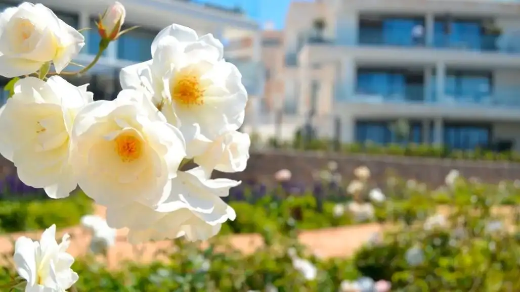 Flat with pool for sale in Avenida 8 de Marzo, imagen 25