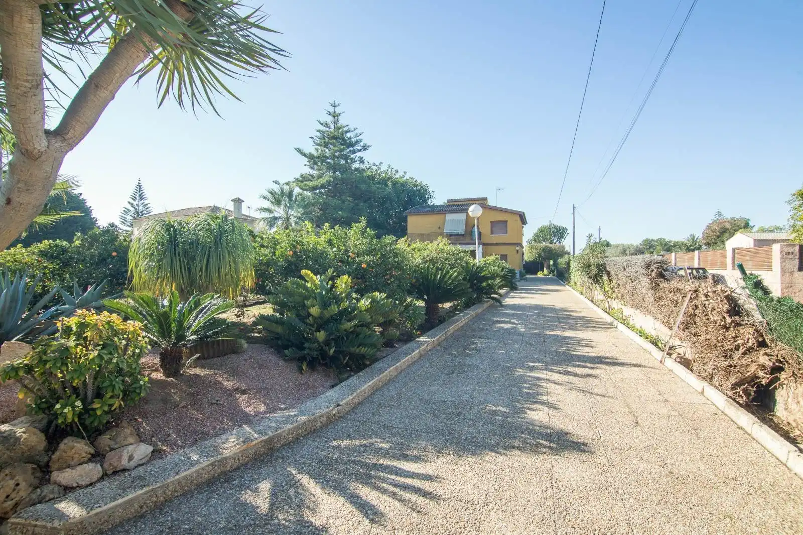 Vista exterior de Casa o xalet en venda en Elche / Elx amb Terrassa, Traster i Piscina