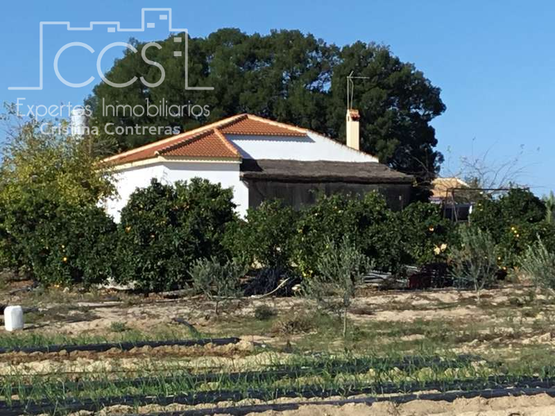 Finca rústica en venta en Almonte ciudad