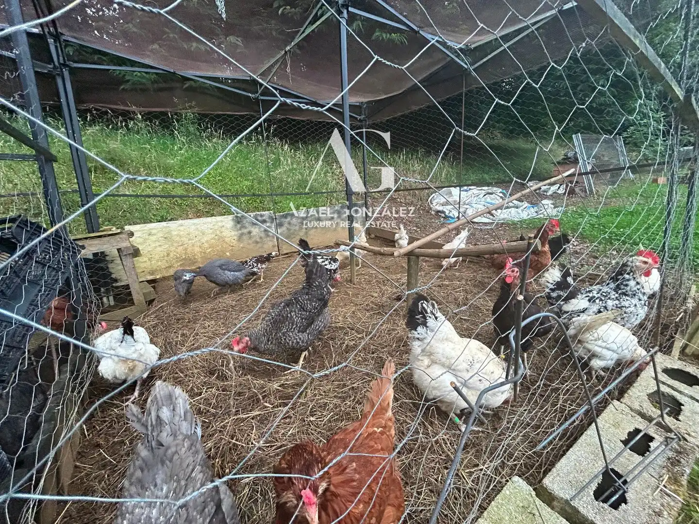 Terreni e lotti in vendita a virdo, imagen 15