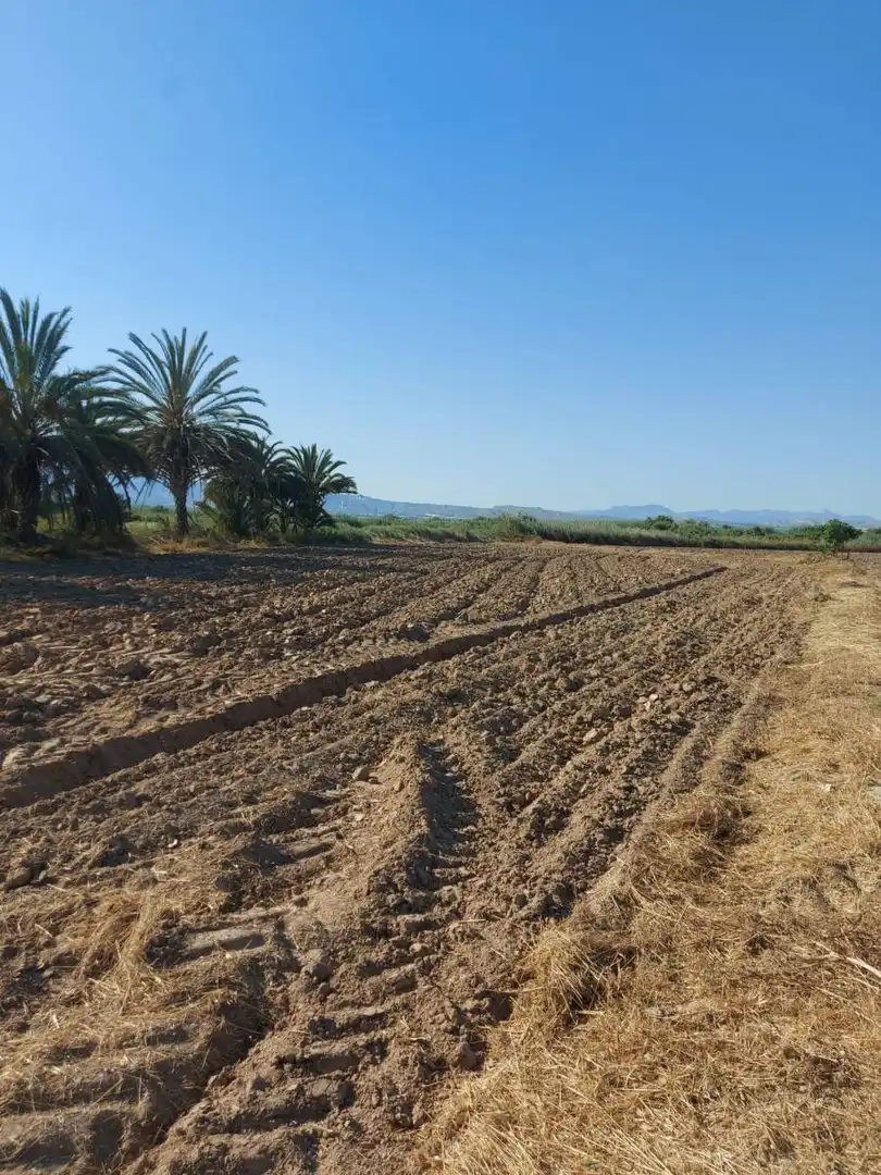 Residencial en venta en Catral