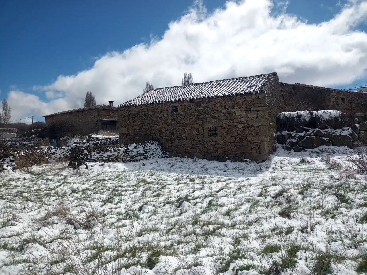 Vista exterior de Finca rústica en venta en San Martín de la Vega del Alberche