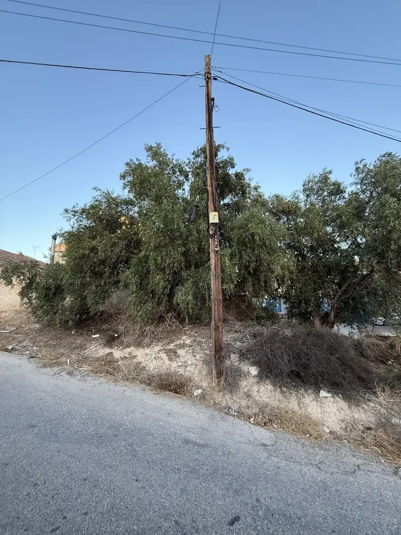 Land for sale in Murcia