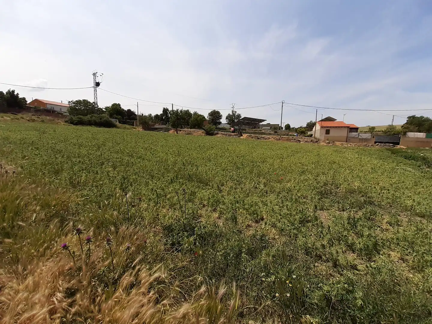 Terreni e lotti in vendita a Corrales del Vino, imagen 7