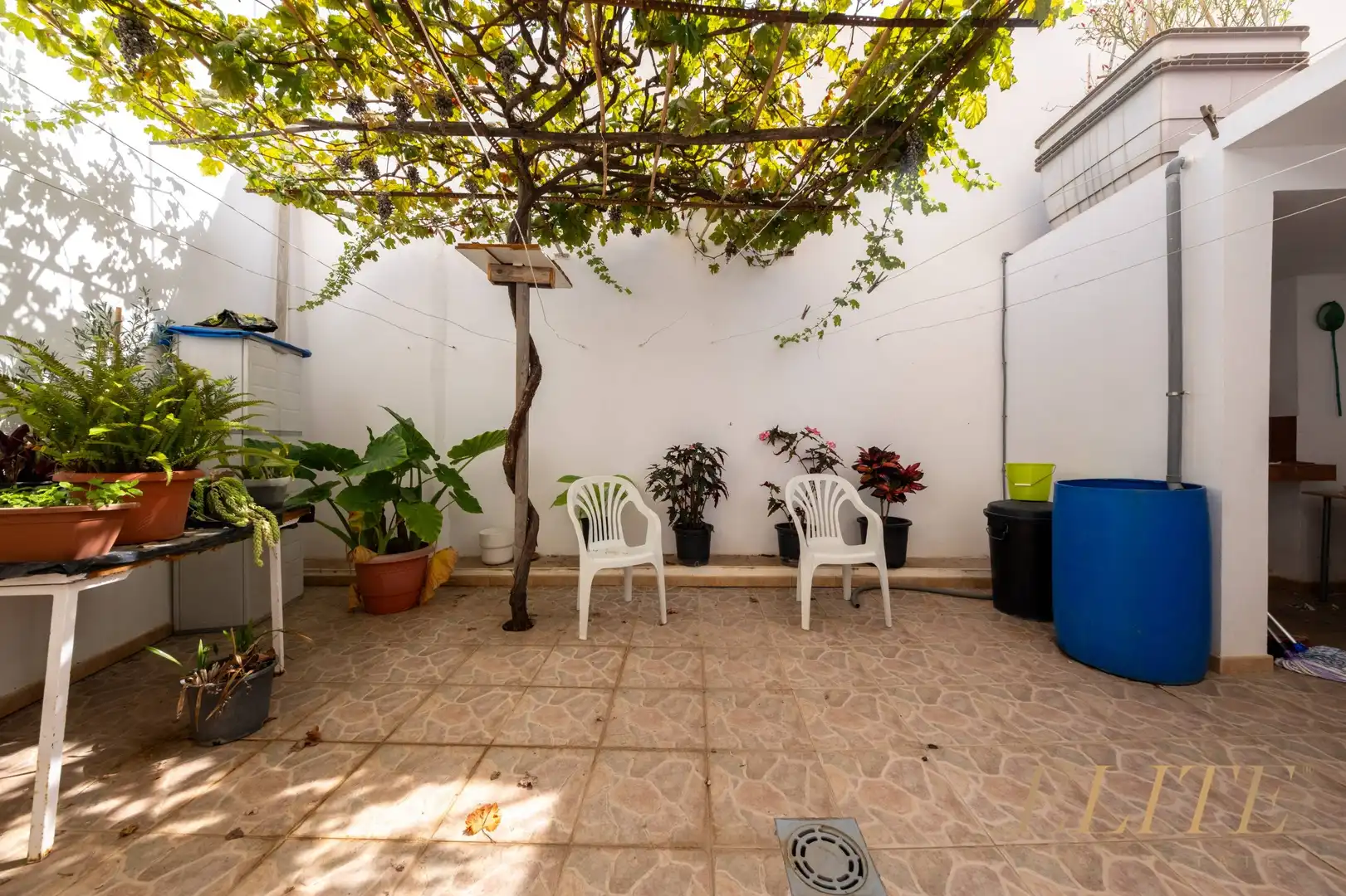 Terrace of Ground floor for sale in Arucas  with Terrace