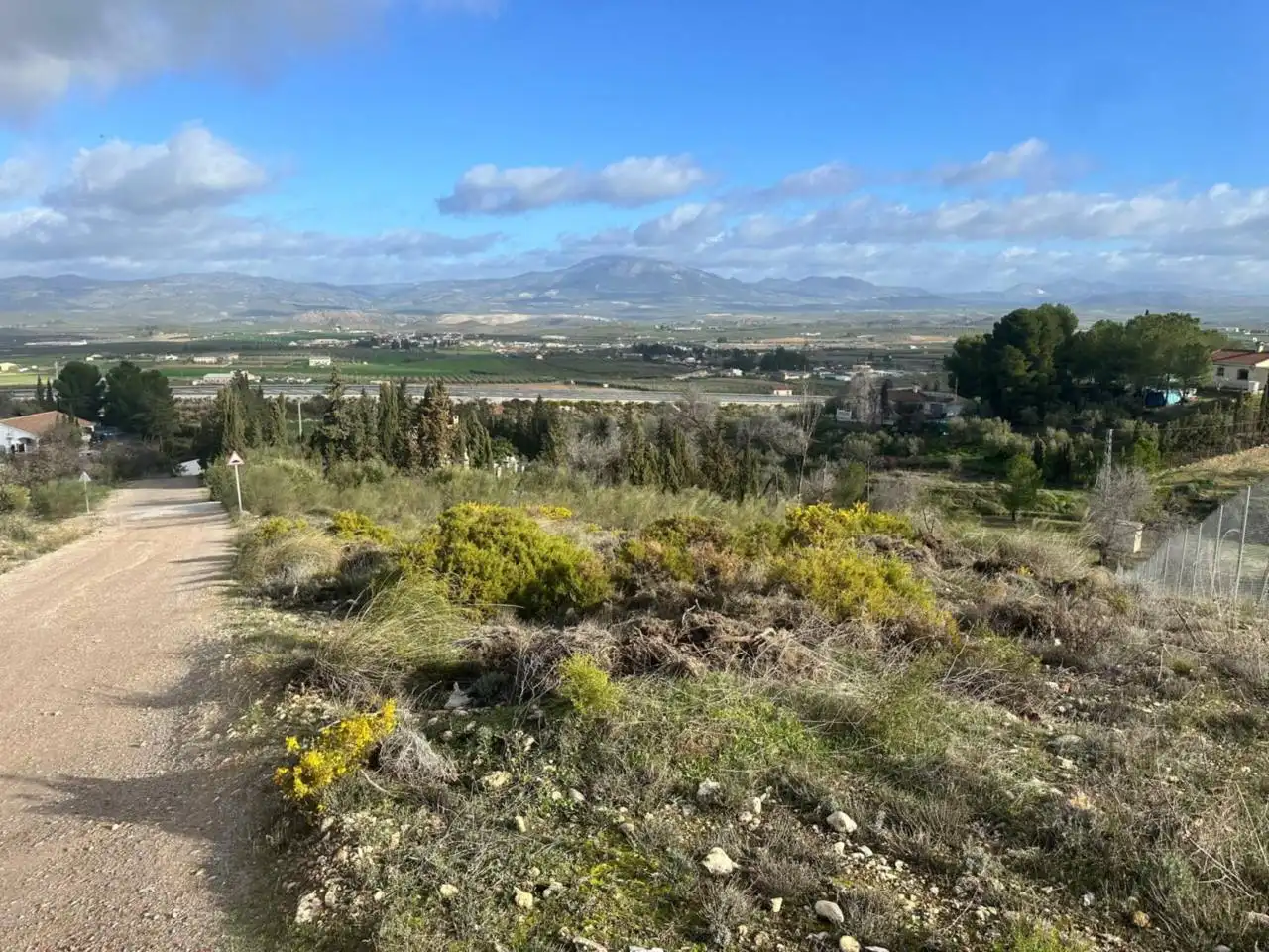 Terreny rústic en venda a Calle Riegos de Moraleda 1, imagen 15