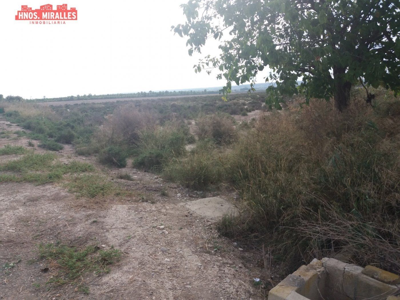 Country house for sale in Elche / Elx