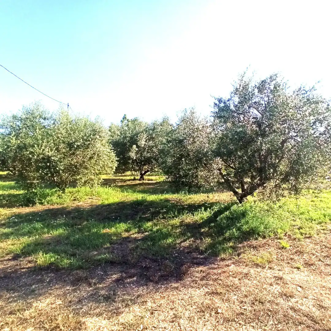 Finca rústica en venta en Reus