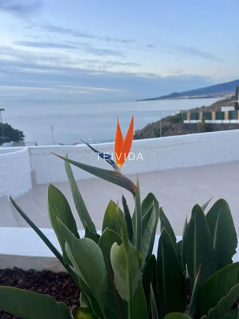Terrace of Duplexes for sale in El Rosario  with Terrace, Swimming Pool and Community pool
