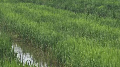 Photo 2 of Land for sale in Casc Antic, Tarragona