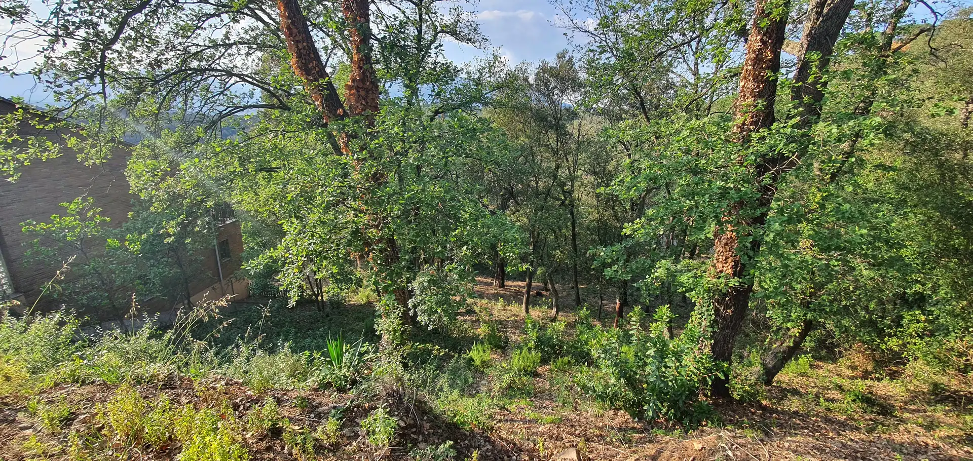 Terreno residencial en venta en Lloc Can Puigdemir 24D, imagen 11