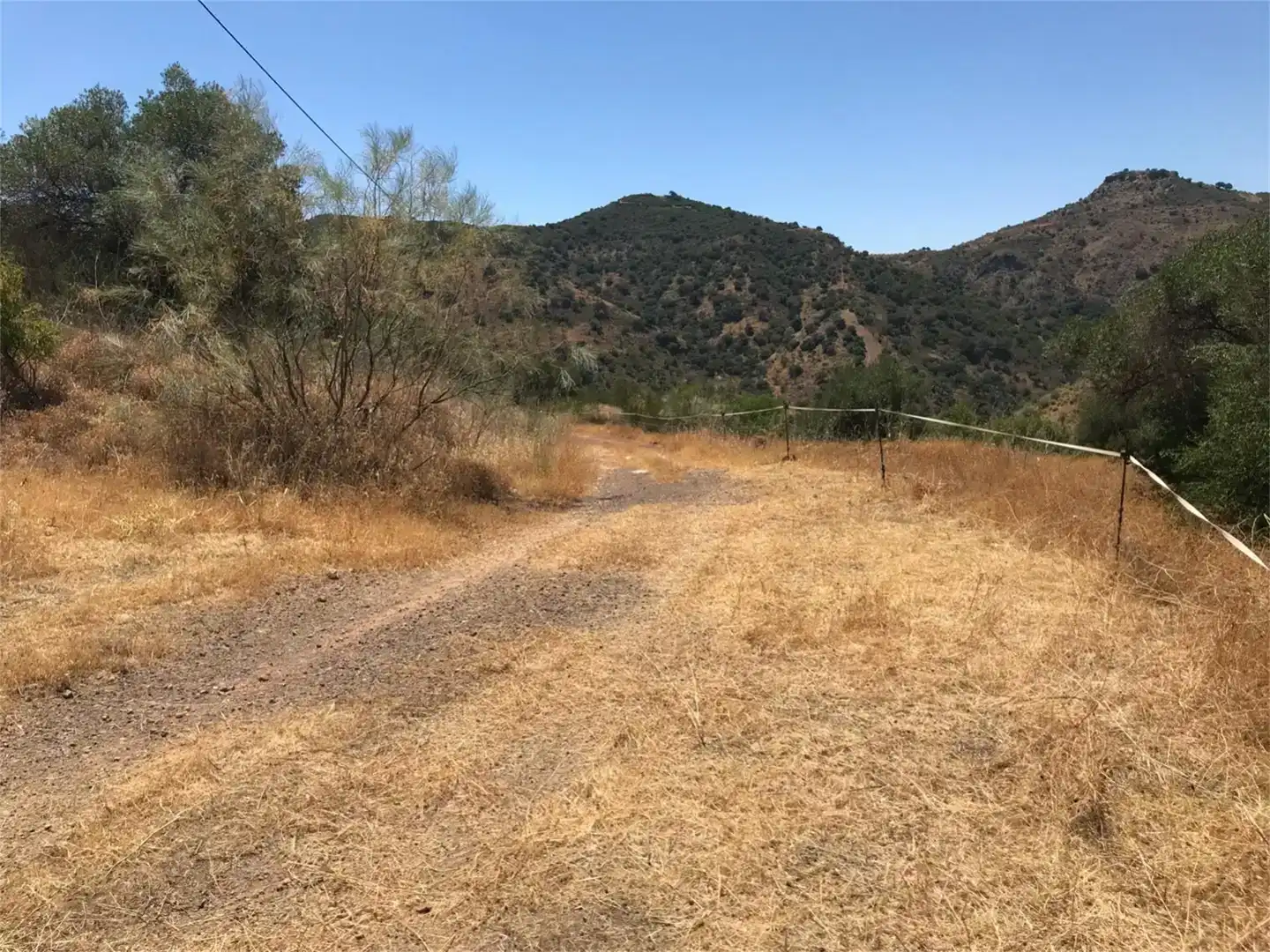 Finca rústica en venta en Almogía