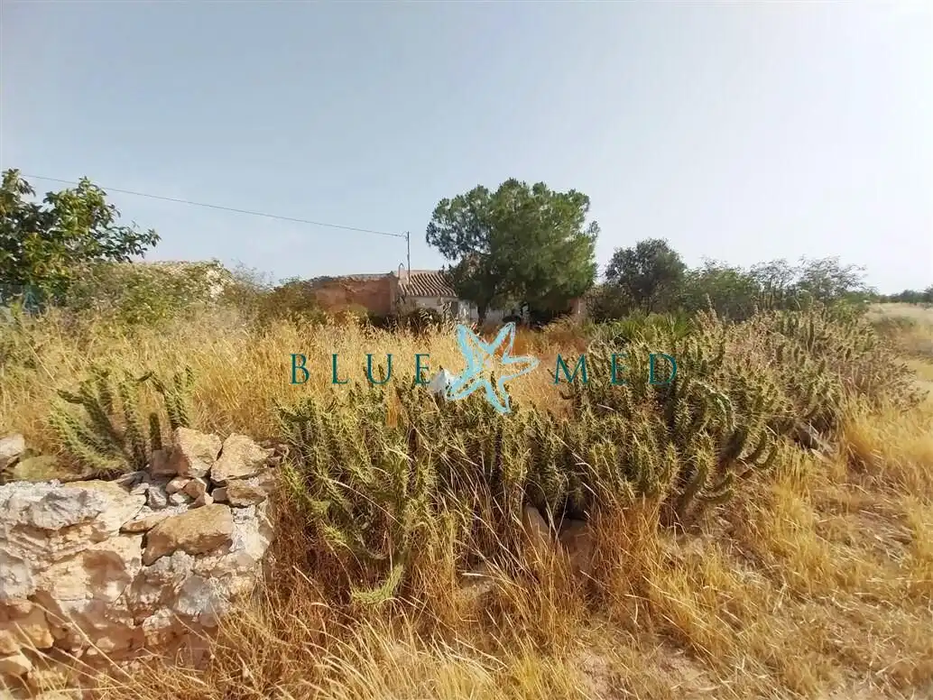 Casa o xalet en venda en Fuente Álamo de Murcia