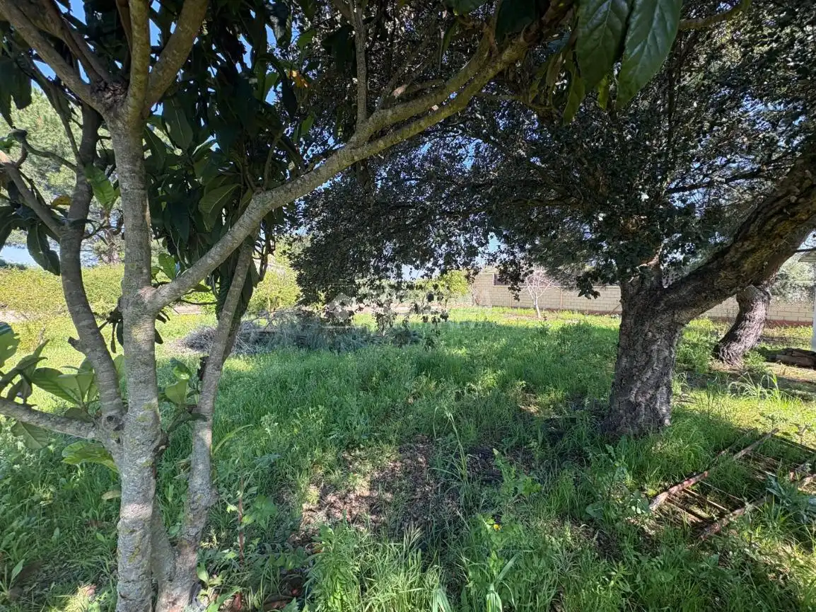 Terreno en venta en Táliga