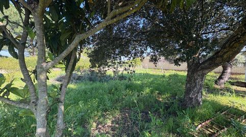 Foto 4 de Terreny en venda a Táliga, Badajoz